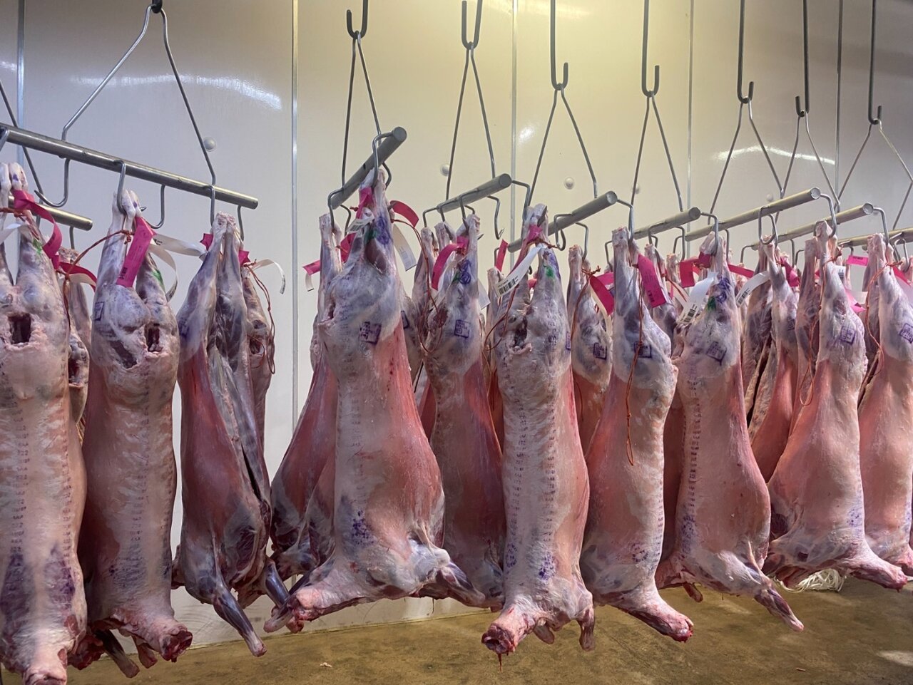 South African meat: what Gulf importers should define before ordering