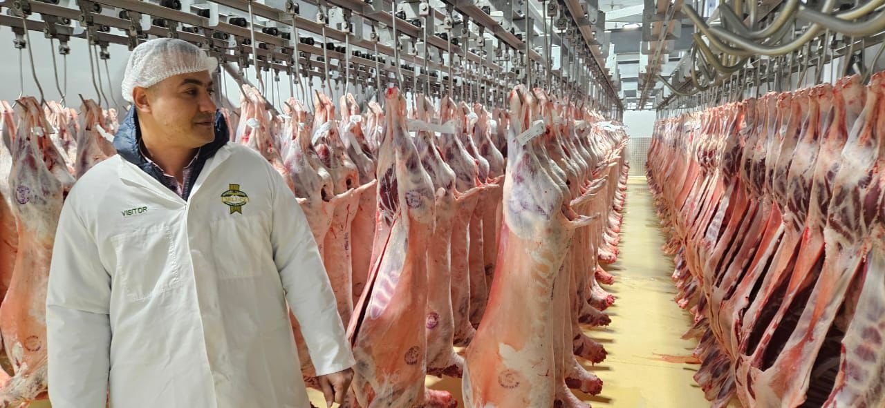 A Certified Halal Carcass Supplier for Arab and Global Markets